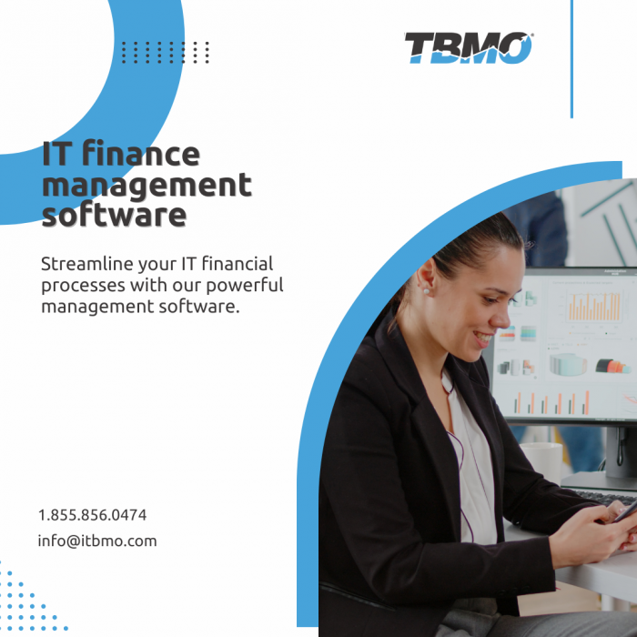 Transform Your Finances with ITBMO’s IT Finance Management Software