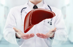 Affordable Liver Transplant in India: Starting at $22,000 with HOSPIDIO