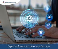 Maximize Efficiency with Expert Software Maintenance Services