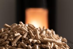 Harnessing the Power of Wood Pellet Press Machine for Business Growth