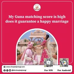 My Guna matching score is high does it guarantee a happy marriage