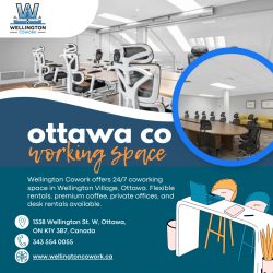 Ottawa Co Working Space: Work, Connect, and Grow