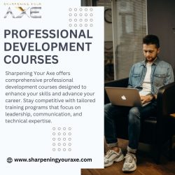 Professional Development Courses | Sharpening Your Axe