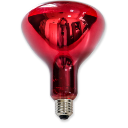 R40 Natural Red Glass IR Lamp