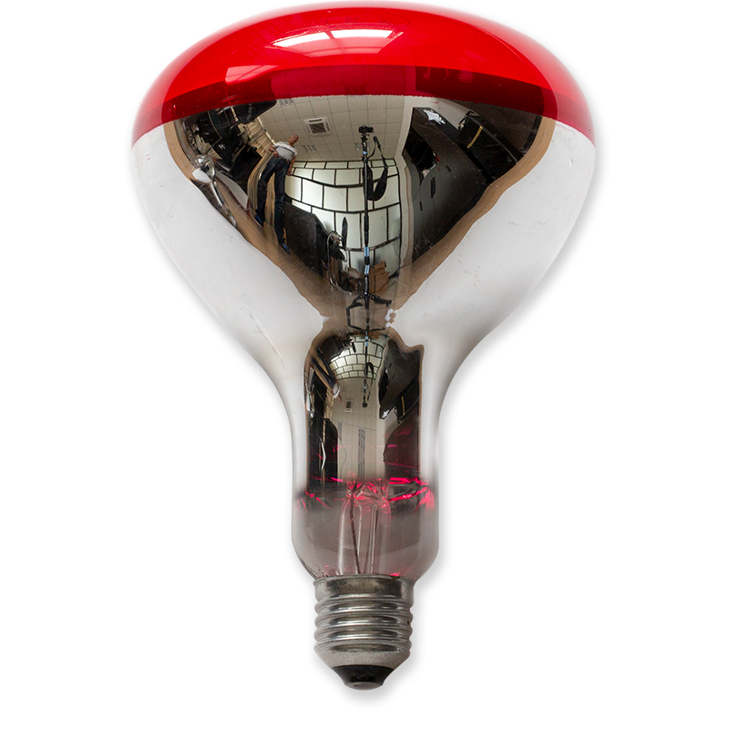 R125 Red Infrared Lamp