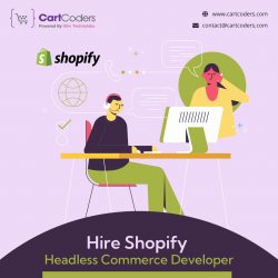 Get Professional Shopify Headless Commerce Developers for Your Store