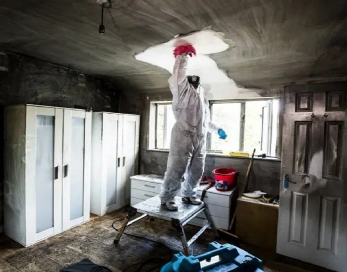 Expert Advice on Mold Prevention in Flood Repair