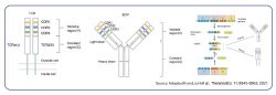 Unlocking Microbial Mysteries: The Role of Amplicon and Metagenomics Sequencing