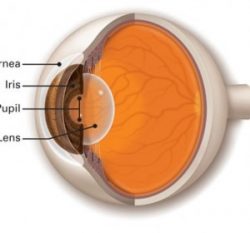 Leading Cornea Specialist in Delhi for Advanced Eye Care