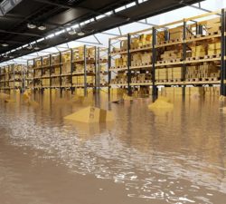 Effective Techniques for Water Cleanup After a Natural Disaster