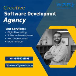 W2G Solutions: Your Trusted Software Development Company in New Delhi