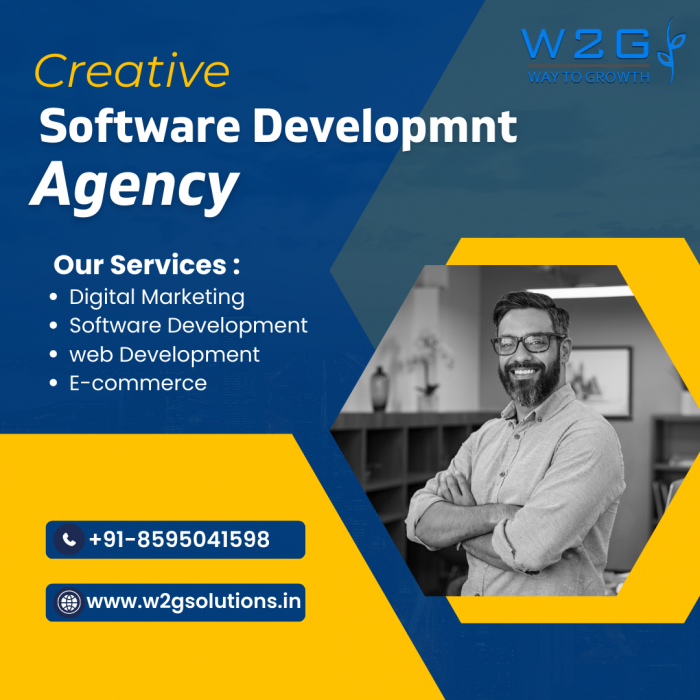 W2G Solutions: Your Trusted Software Development Company in New Delhi