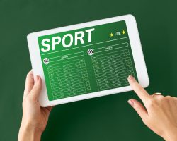 Sportsbook Software Providers