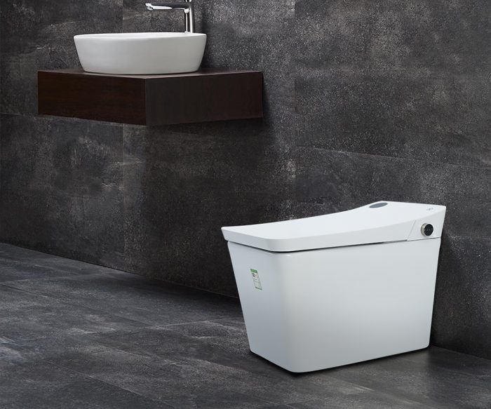 wall mounted smart toilet