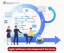 Accelerating Innovation with Agile Software Development