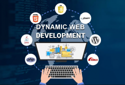 Efficient web app development Houston