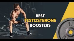 5 Best Testosterone Booster Supplements to Combat Muscle Loss