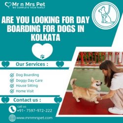 The Best Day Boarding for Dogs in Kolkata