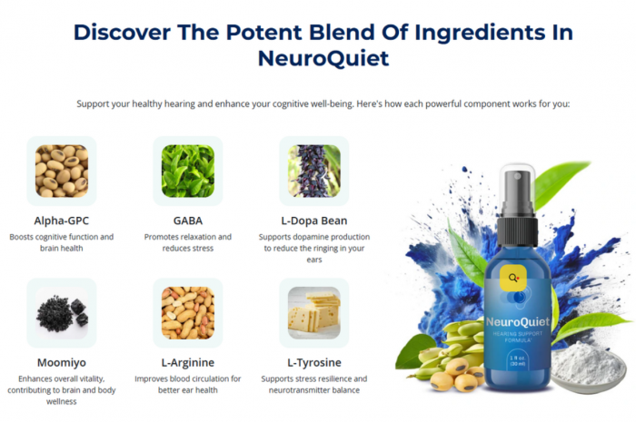 Personalized Hearing Solutions with NeuroQuiet Devices