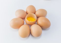 Premium Eggs Provider in Singapore – Dasoon