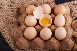 Leading Egg Provider In Singapore – Dasoon