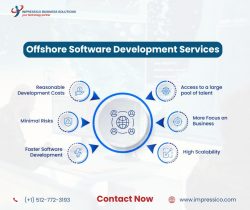 Empowering Your Business with Offshore Development