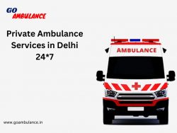 Private Ambulance Services in Delhi 24*7