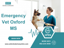 Emergency Vet Care in Oxford MS