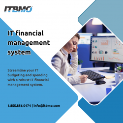 Achieve Excellence with Cutting-Edge IT Financial Management System