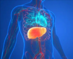 Affordable Liver Cancer Treatment in India with HOSPIDIO