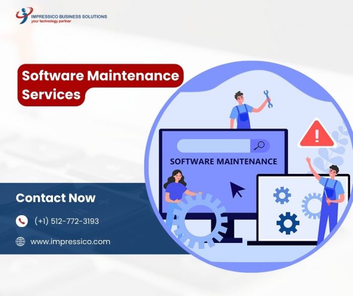 Maximizing Software Efficiency through Expert Maintenance