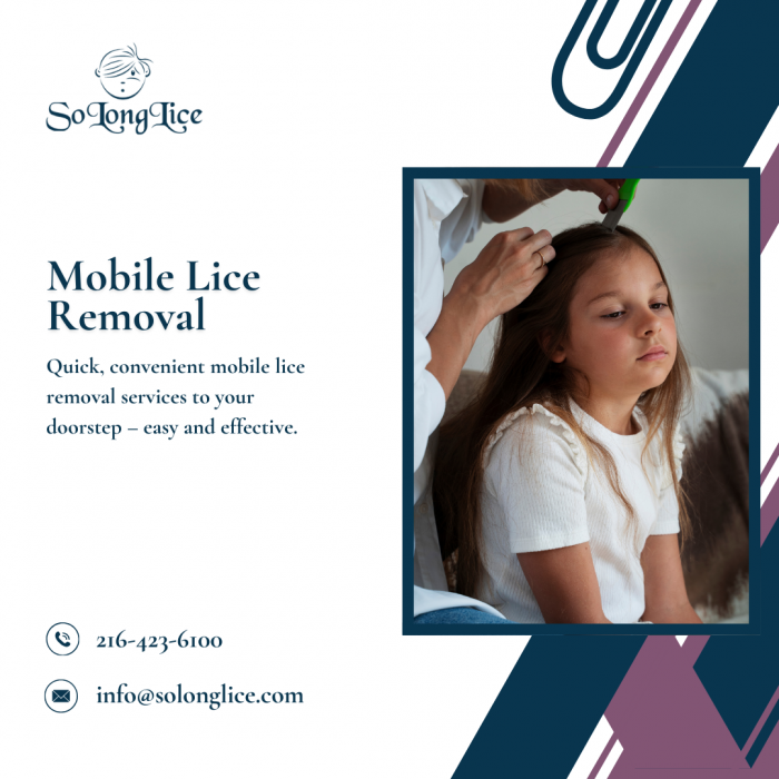 Professional Mobile Lice Removal Service