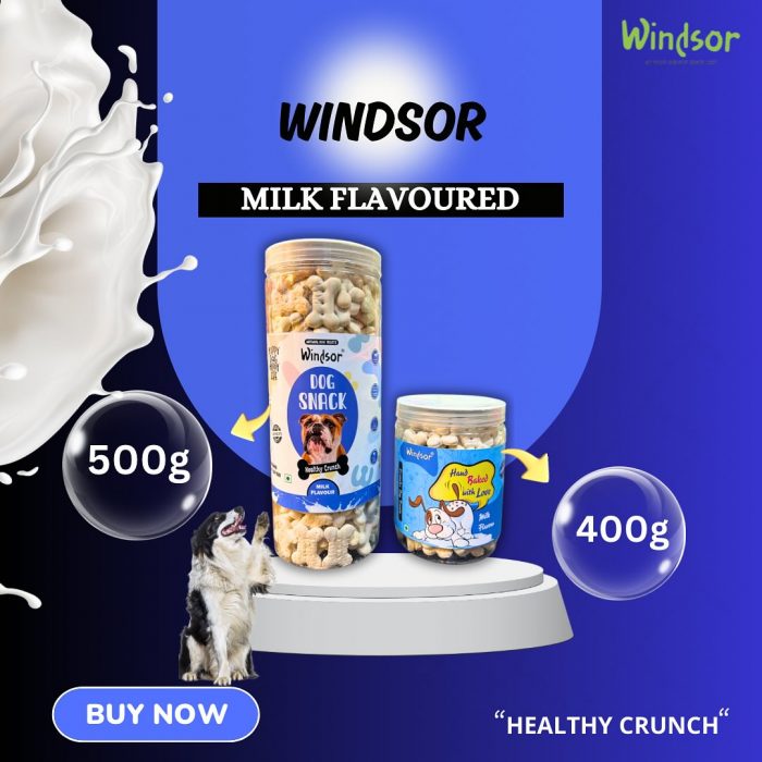 Welcome to Windsor Pet Shop: Your One-Stop Pet Food Destination in Delhi!