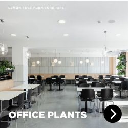 Office Furniture To Rent with Lemon Tree Hire