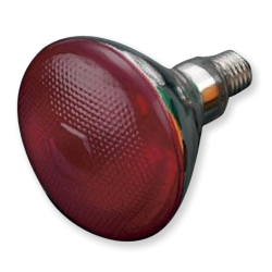 PAR38 Hard Glass IR Lamp Red Paint