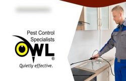 Pest Control Dublin: Expert Service By Owl Pest Control Ltd