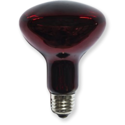 R95 Natural Red Soft Glass IR Lamp