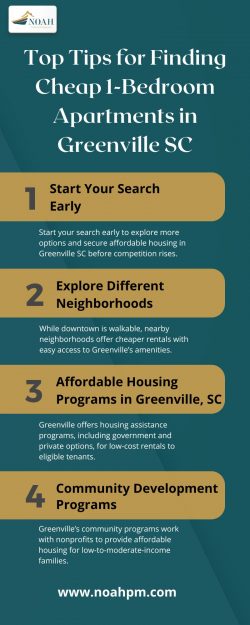 Top Tips for Finding Cheap 1-Bedroom Apartments in Greenville SC