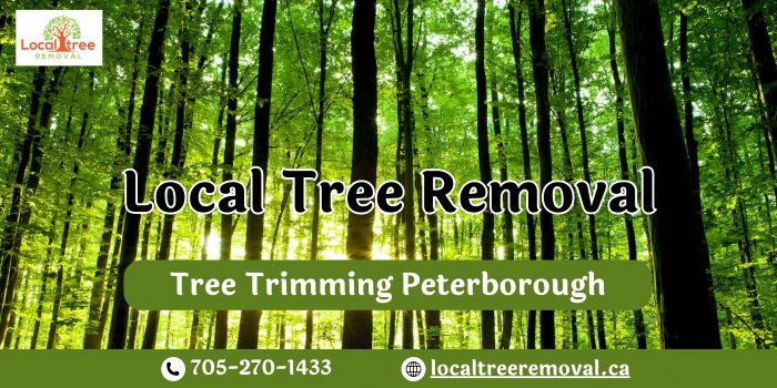 Professional Tree Trimming in Peterborough: Expert Care for Your Trees