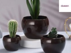 Charming Pots & Planters for Every Home