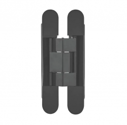 Concealed hydraulic hinge