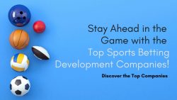 Top 15 Sports Betting Software Development Companies in 2024 & 2025