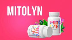 Mitolyn Reviews: A Balanced Look at Its Pros and Cons