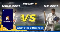 Fantasy Cricket vs. Real Cricket: What’s the Difference?