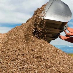 Harnessing the Power of Wood Pellets for Clean Energy