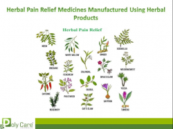 Get Ayurvedic Pain Care Medicine from Trusted Brand – Poly Care Herbals