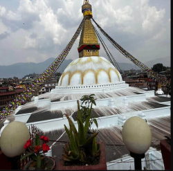 Top Nepal Travel Company: Unforgettable Trekking & Cultural Journeys