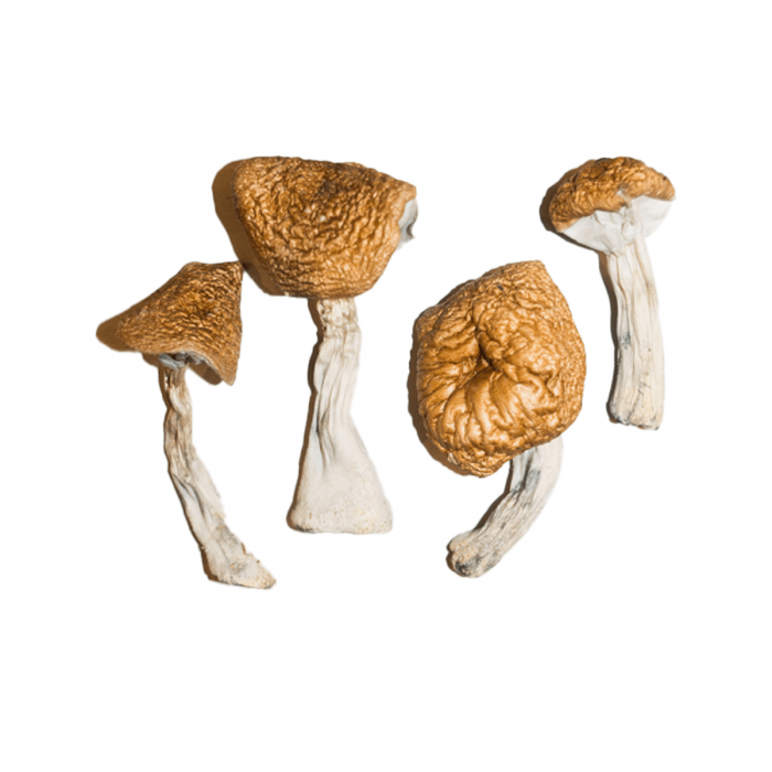 7 Tips for Buying Shrooms Online