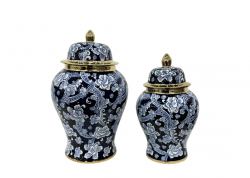 Buy Ginger Jars – Stunning Designs Available