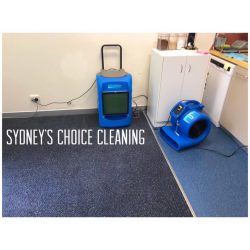 Expert Carpet Cleaning Services in Campbelltown